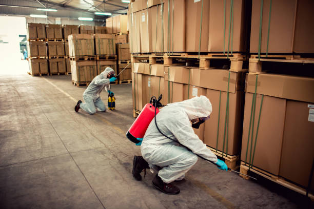 Best Ant Control Services  in Wimauma, FL