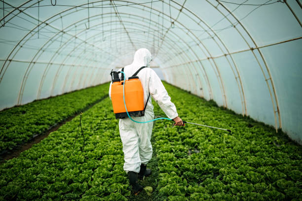 Best Best Pest Control Companies  in Wimauma, FL