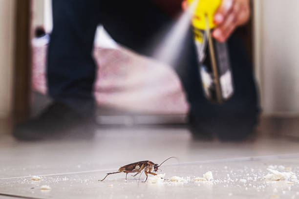 Pest Prevention Services in Wimauma, FL