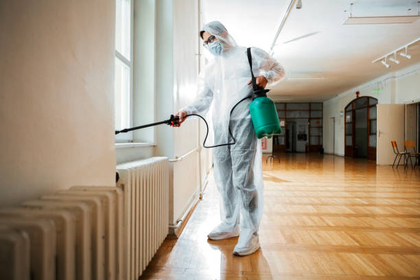 Reliable Wimauma, FL Pest Control Solutions